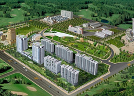 深度参与自治区营养健康食堂建设，助力“健康新疆”行动